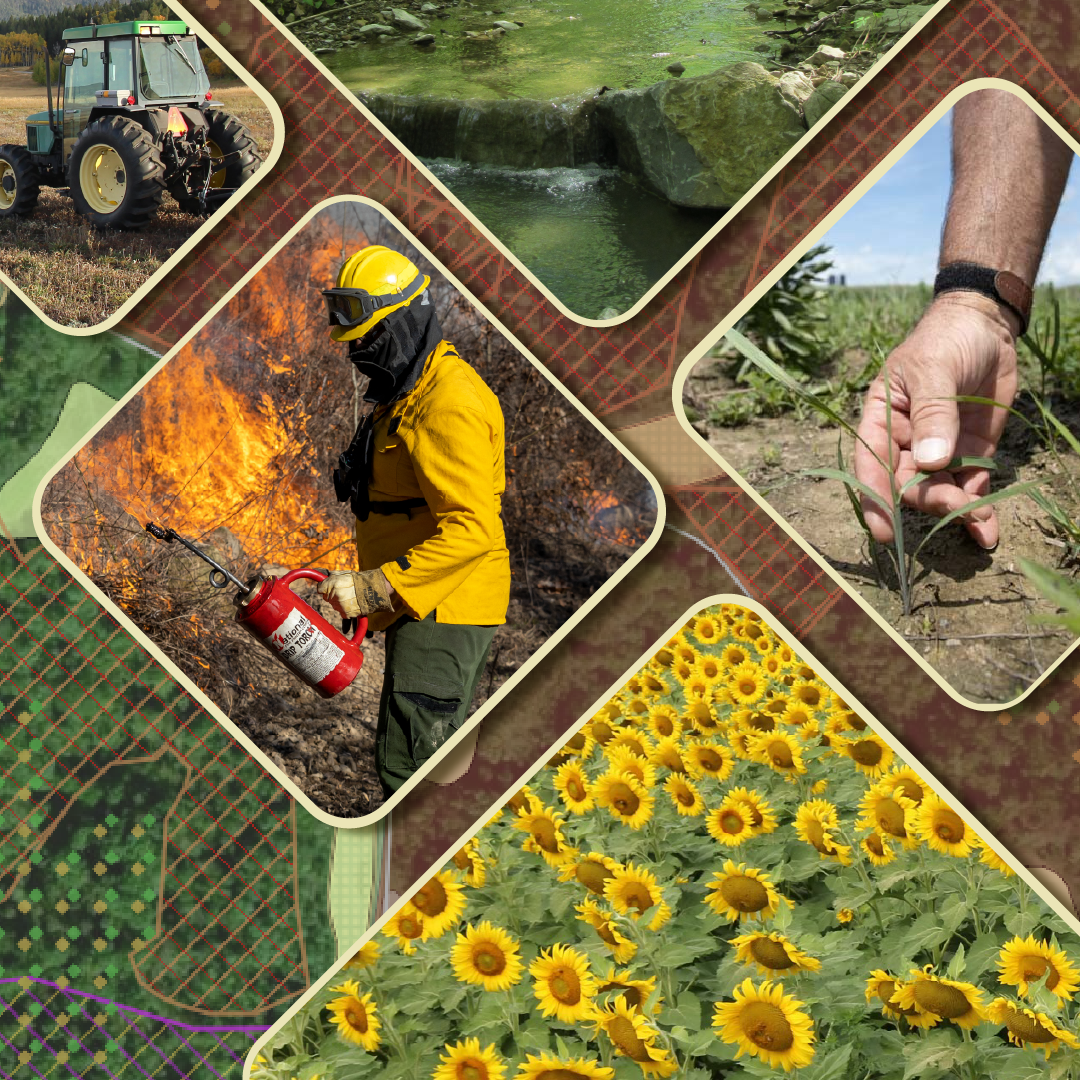 WMA Explorer Graphic